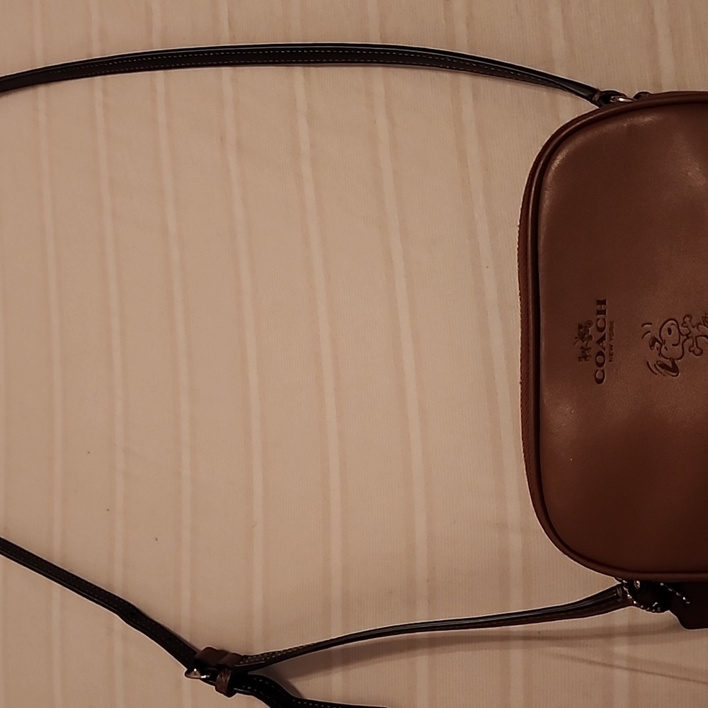 Coach mini